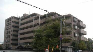 現地外観